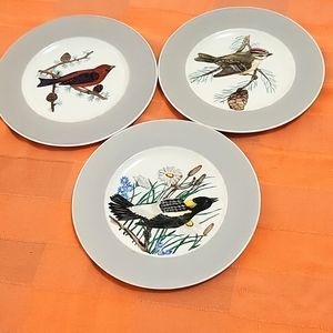 Vintage 1950s Hand Painted Ceramic Bird Plates